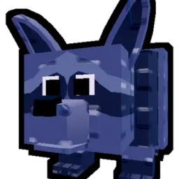 Raccoon