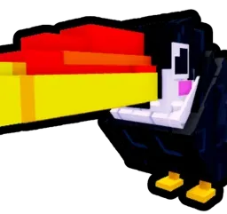 Toucan